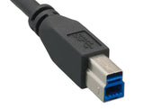 USB 3.0 A Male to B Male Cable AllCables4U